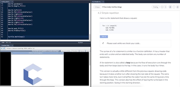 codio screenshot