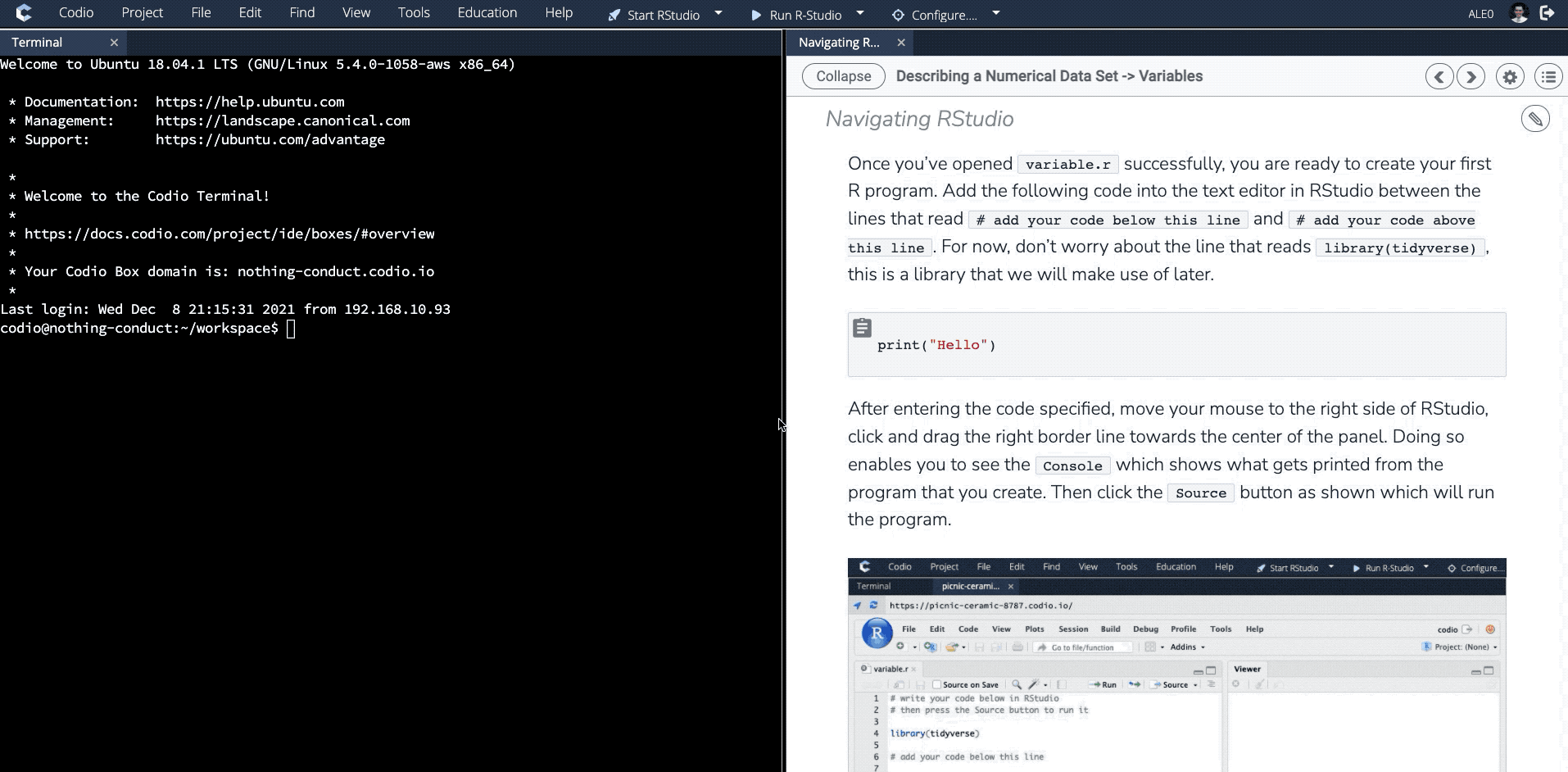 R and Python Courses for College and University | Codio