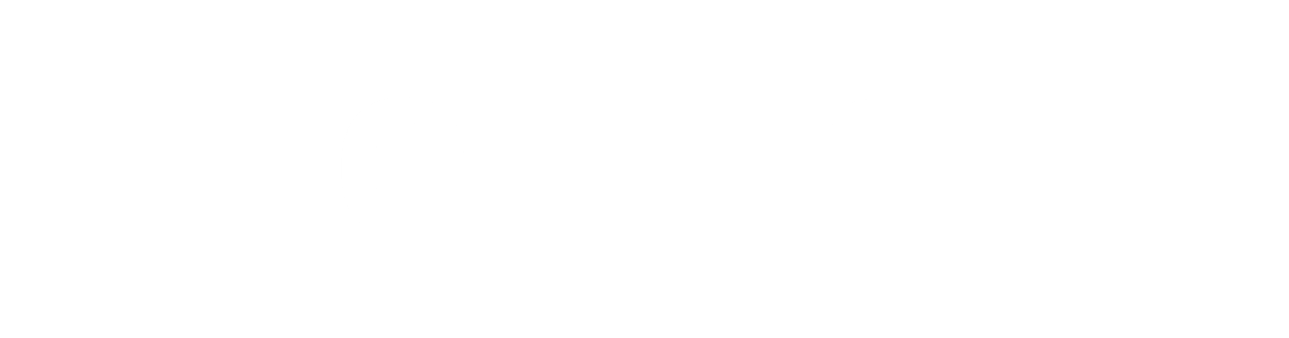 eCornell Logo - White