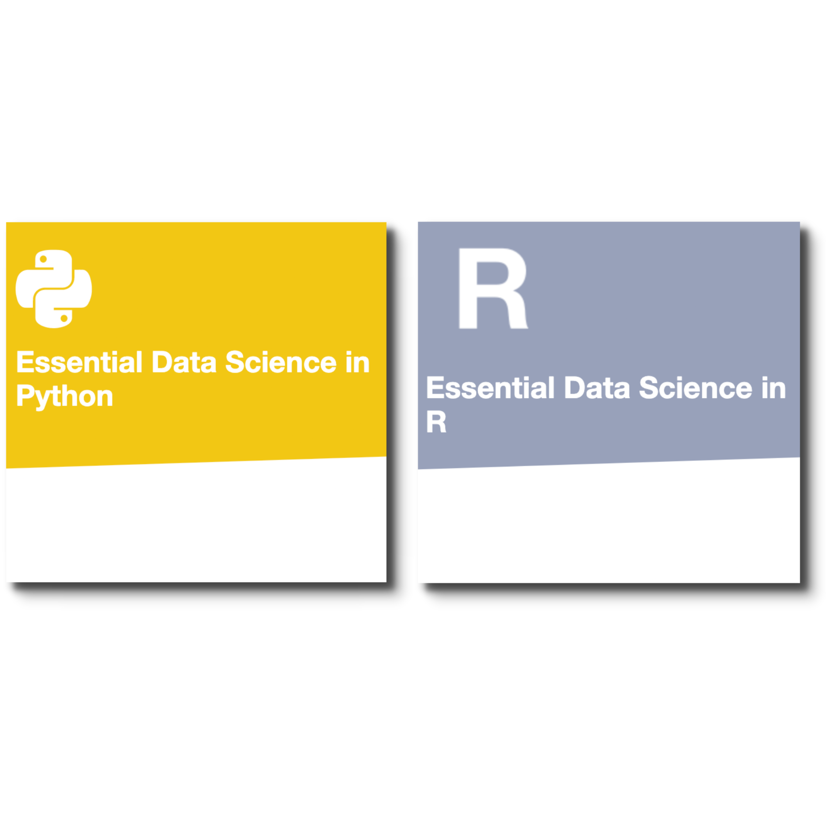 Webinar - Data Science Essentials-1